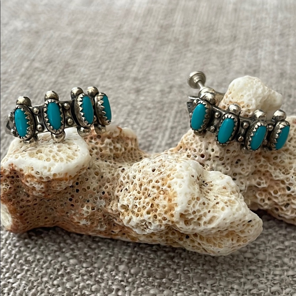 Silver and Turquoise Women's Earrings